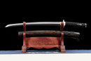 Shinryū Wakizashi (脇差神龍)